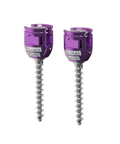 POLYAXIAL SCREWS