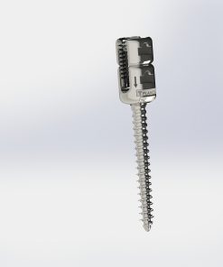 MONOAXIAL SCREWS